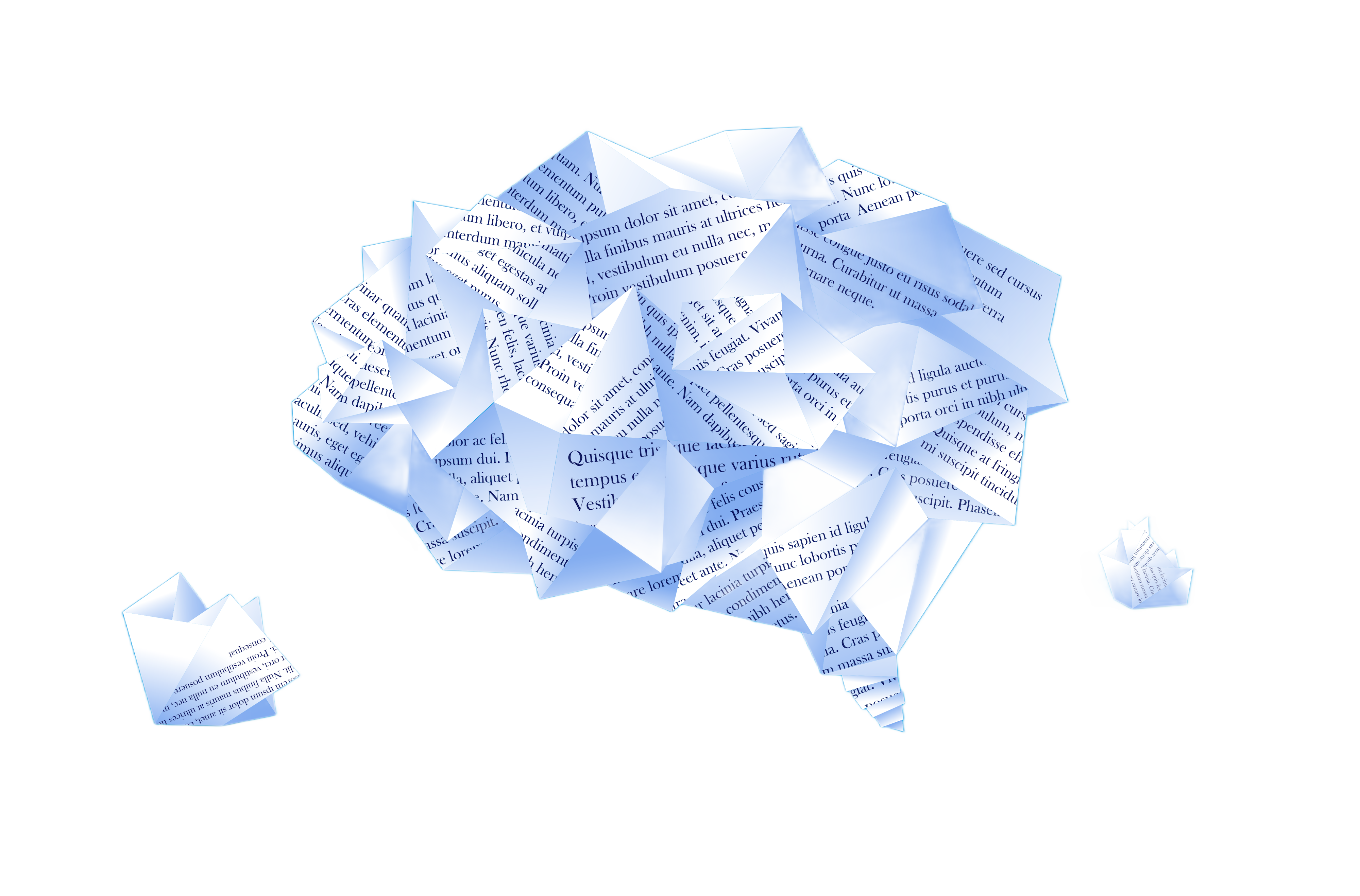 Brain Image